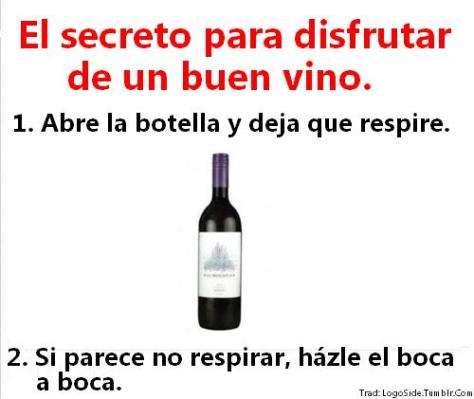 El secreto para disfrutar de un buen vino